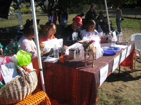 halloween 2010 012